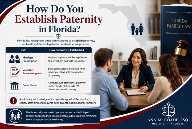 How Do You Establish Paternity in Florida?
